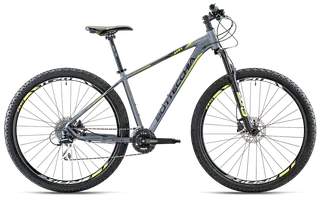 Bottecchia 116 Mountain Bike