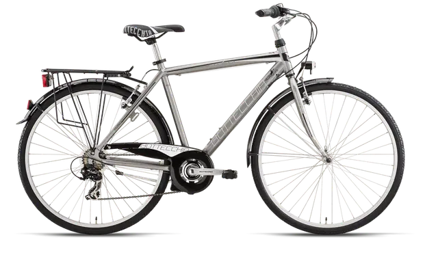 Bottecchia 205 City Bike 28"