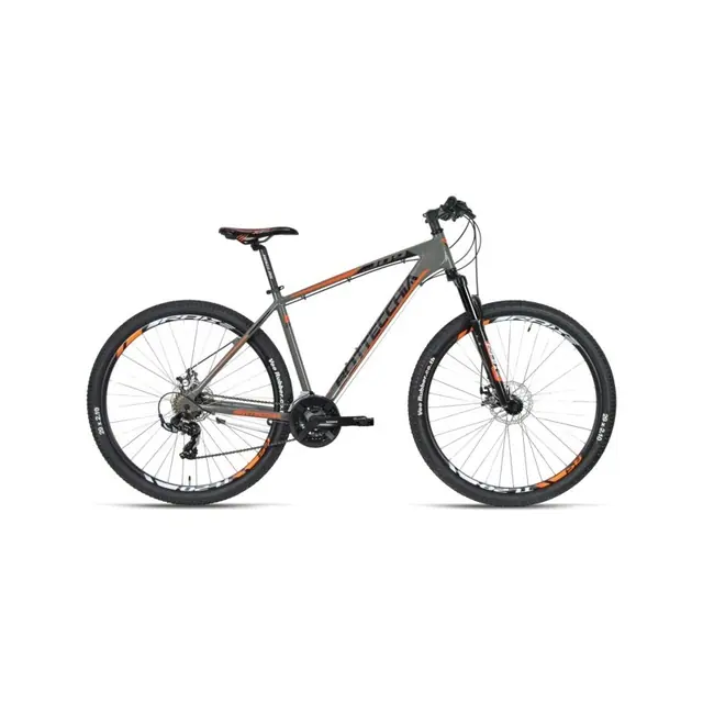 Bottecchia 109 Mountain Bike