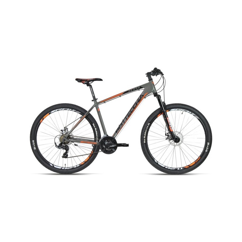 Bottecchia 109 Mountain Bike